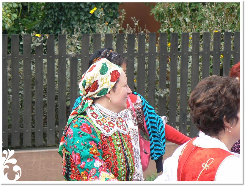Szuret Felv es Bal_099